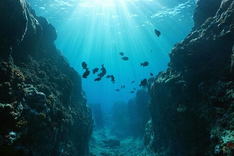 इन चट्टानों (Rocks) का प्रशांत महासागर (Pacific Ocean) में मिलने की खास वजह है. (प्रतीकात्मक तस्वीर: shutterstock)