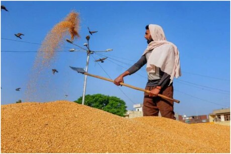 किसानों को खाद्य एवं रसद विभाग की वेबसाइट पर पंजीकरण कराना अनिवार्य है.