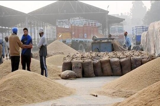 किसान आंदोलन को देखते हुए हरियाणा सरकार इस वर्ष गेहूं की खरीद को लेकर गंभीर है (प्रतीकात्मक तस्वीर)