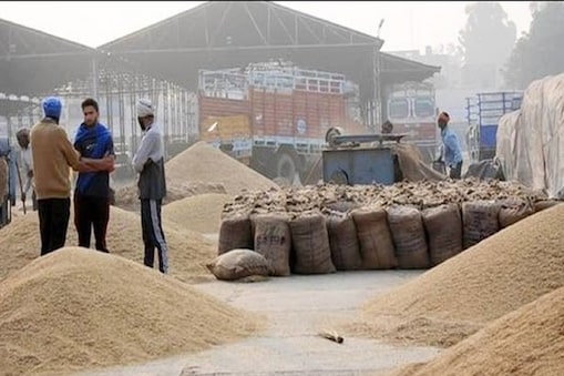 किसान आंदोलन को देखते हुए हरियाणा सरकार इस वर्ष गेहूं की खरीद को लेकर गंभीर है (प्रतीकात्मक तस्वीर) किसान आंदोलन को देखते हुए हरियाणा सरकार इस वर्ष गेहूं की खरीद को लेकर गंभीर है (प्रतीकात्मक तस्वीर)