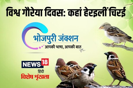 विश्व गौरैया दिवस