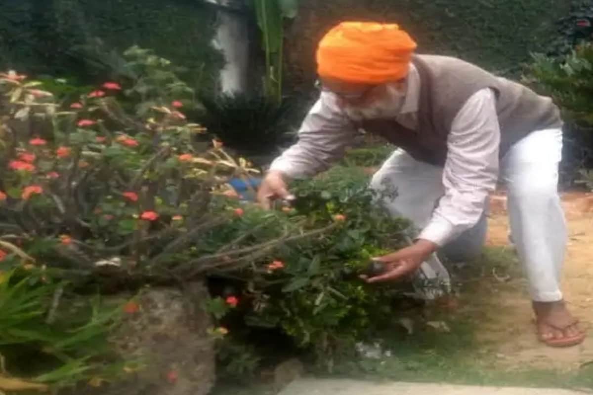 काले टमाटर की खेती