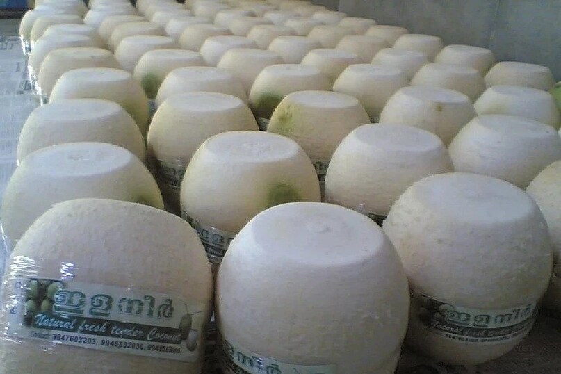 coconut