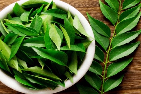 If you are troubled by falling hair, make your own domestic oil with curry leaves.