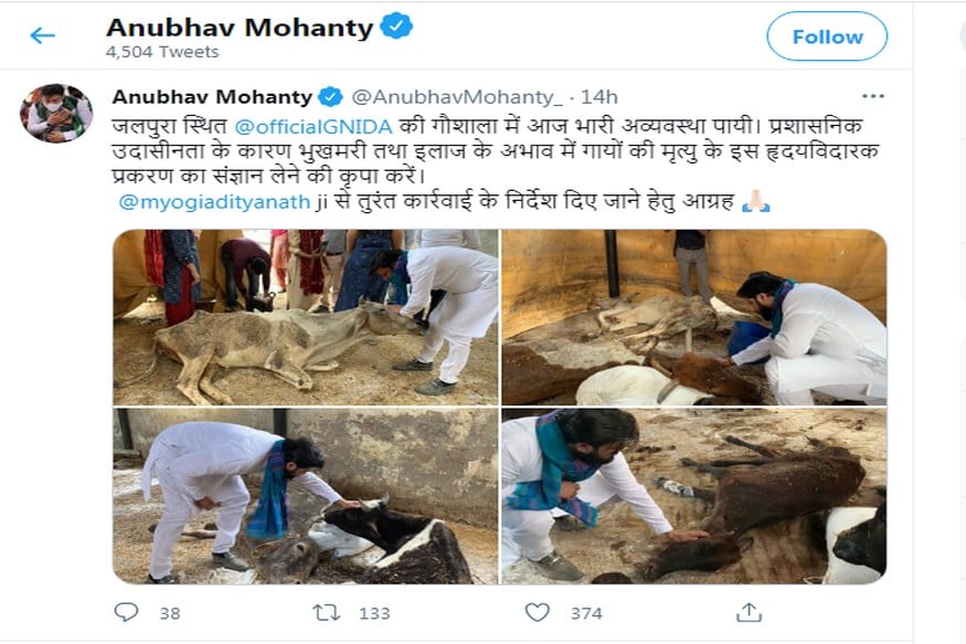 cows died, starvation, cowshed, jalpura, Greater Noida Authority, twitter, tweet, CM yogi adityanath, odisha, गायों की मौत, भुखमरी, गौशाला, जलपुरा, ग्रेटर नोएडा प्राधिकरण, ट्विटर, ट्वीट, सीएम योगी आदित्यनाथ, ओडिशा