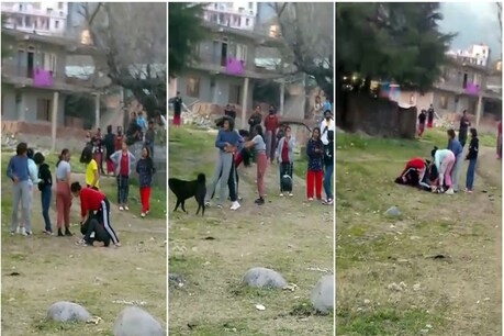 कुल्लू में शराब के नशे में भिड़ी लड़कियां.