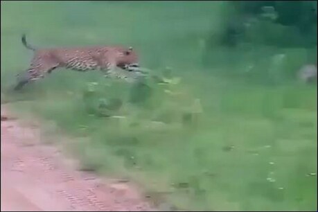 फाइल फोटो.