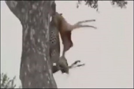फाइल फोटो.