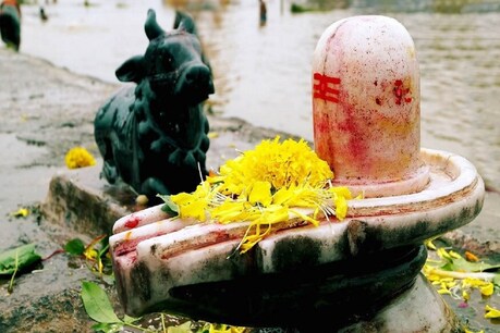 मासिक शिवरात्रि पर अपनों को भेजें ये ख़ास शुभकामनाएं