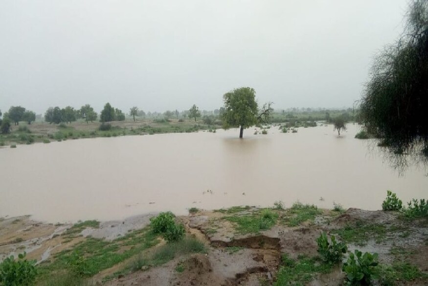 World Water Day: खेत पर मेड़, मेड़ पर पेड़, पेड़ पर फल - जल का World Water Day: खेत पर मेड़, मेड़ पर पेड़, पेड़ पर फल - जल का