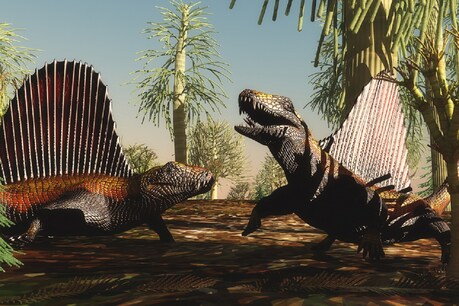 पर्मियान युग के अंत में हुआ महाविनाश (Mass Extinction) सबसे घातक था. (प्रतीकात्मक तस्वीर: shutterstock)