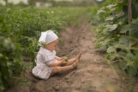 In young children, the habit of eating soil is due to lack of blood. Image / shutterstock