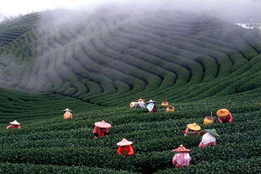 taiwan