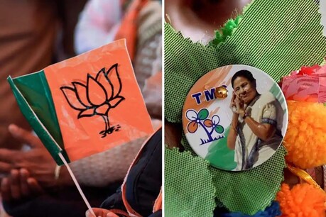 West Bengal Elections: BJP समर्थक के घर पर हमला, बूढ़ी मां से मारपीट, TMC  पर आरोप | west bengal elections attack on bjp worker home asansol  allegations on tmc