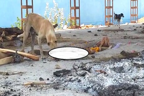 कोरोना प्रोटोकॉल के तहत परिवार वाले अंतिम संस्कार नहीं कर पा रहे हैं.