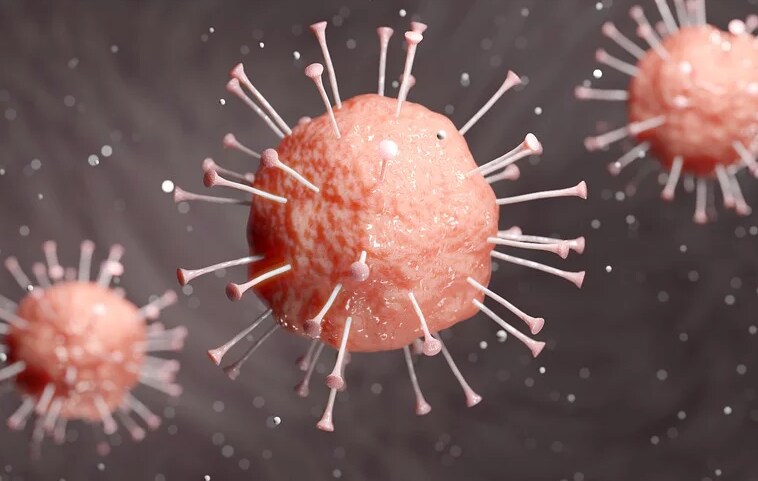 coronavirus surface transmission