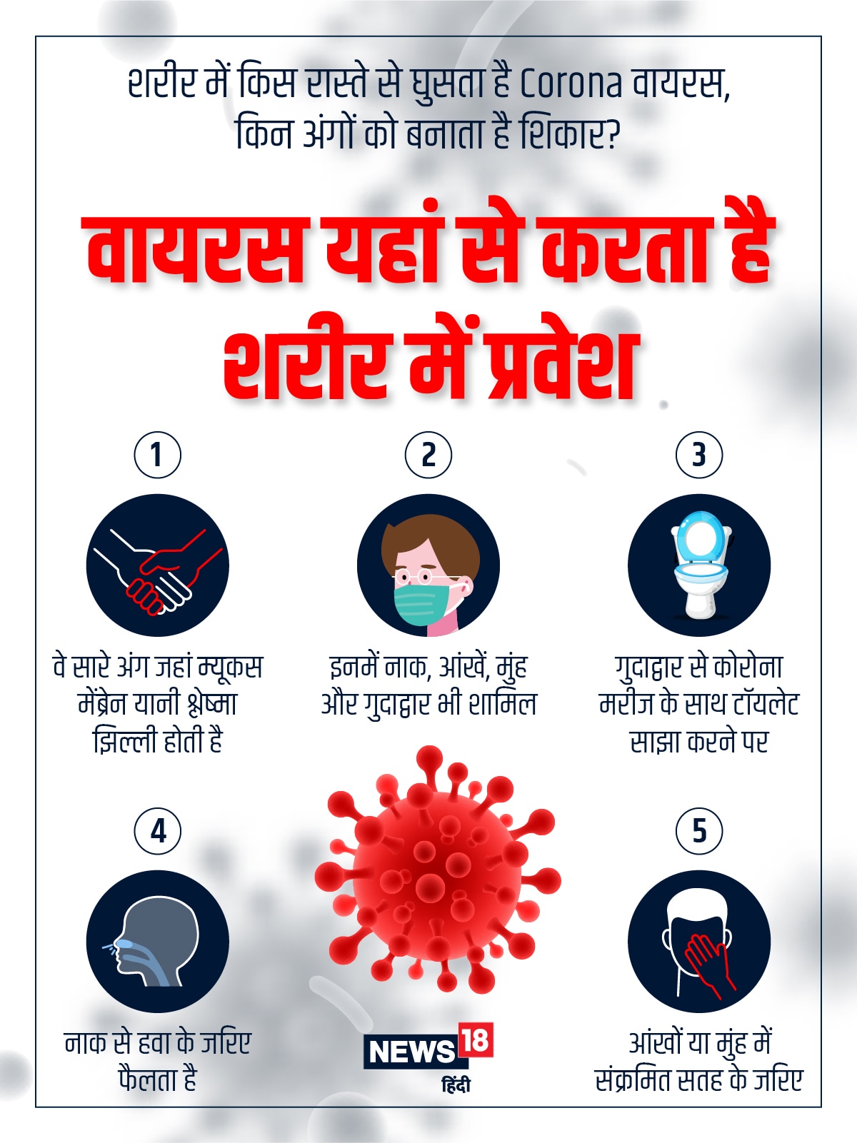 Corona virus