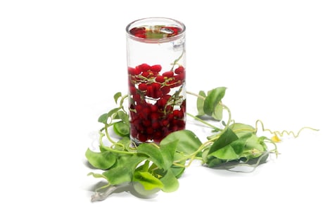 Giloy is used in many diseases. (credit: shutterstock / Kumar Jatinder)