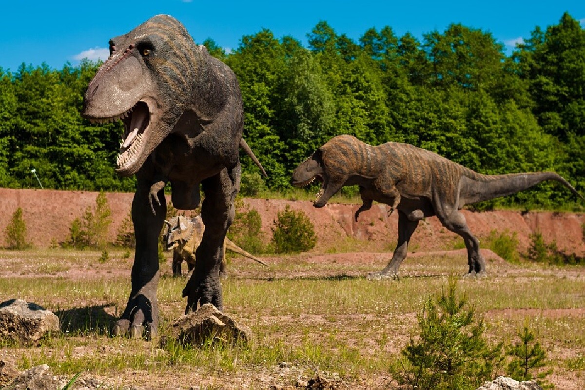 Environment, Dinosaurs, Japan, Fossil, Palaeontology, History of Earth, Hadrosaur, duckbill Dinosaur