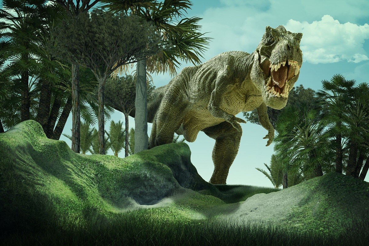 Environment, Dinosaurs, Mammals, Cretaceous Era, Evolution, Competition,