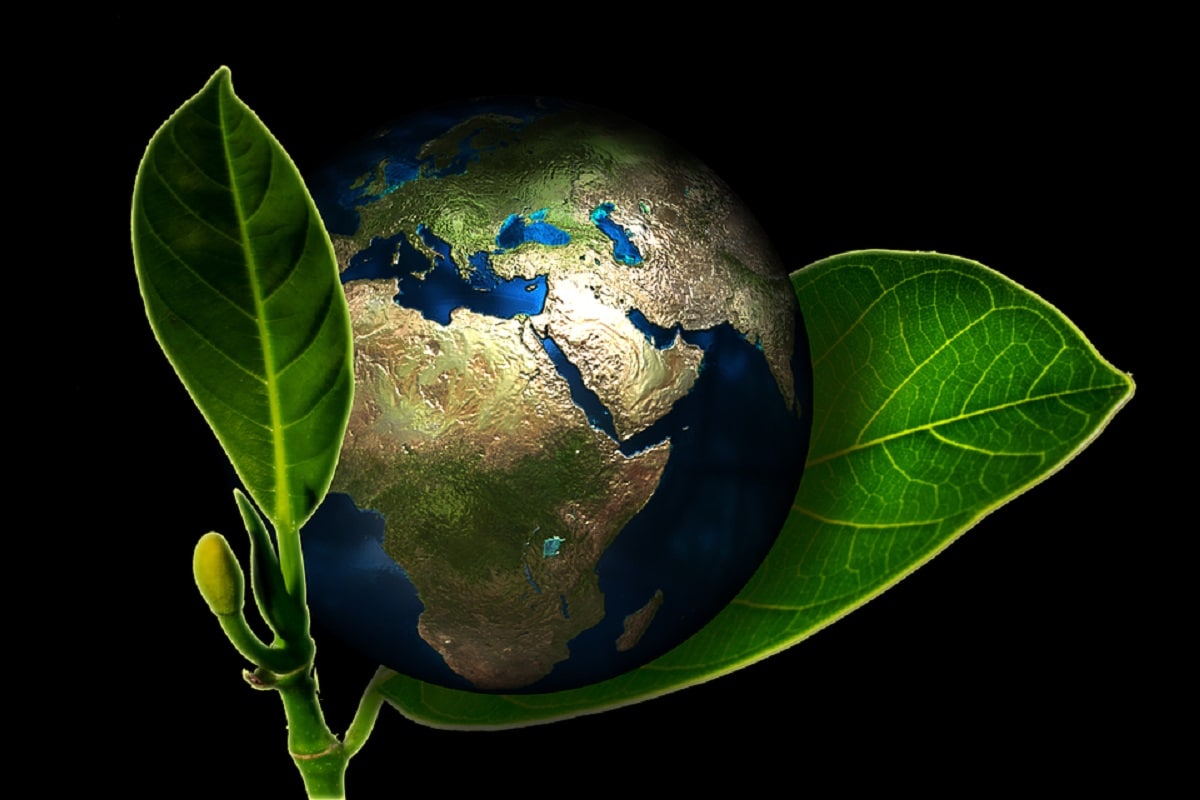 Environment, Earth, Climate Change, Global Warming, World Earth Day, World Earth day 2021, Earth day, Coronavirus, Covid-19, Ecosystem,