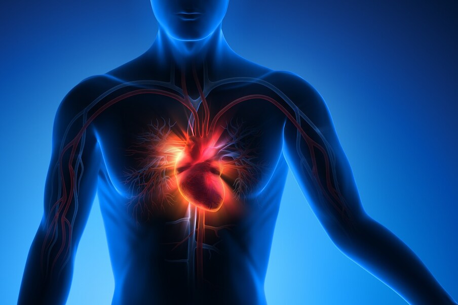  वास्तविक हालातों में एक दिल (Heart) के मरीज को दिल के दौरे (Heart Attack) की पुष्टि होने से पहले बहुत सी जांचों से गुजरना पड़ता है. ऐसे में विश्वसनीय जाचों का दायरा बढ़ना चिकित्सकों के लिए बहुत मददगार होगा और उन्होंने मरीज के स्थिति के बारे में सही फैसला लेने में देर नहीं लगेगी. अब शोधकर्ता इन मार्कर की दिल के दौरे में भूमिका की गहराई से अध्ययन करेंगे कि मेटोबोलाइट्स (Metabolites) की दिल के दौरों में किस तरह की भूमिका होती है. (प्रतीकात्मक तस्वीर: shutterstock)