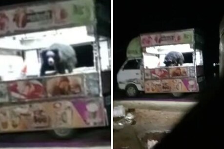 Kanker Viral Video: कांकेर में ठेले पर आइसक्रीम खाते भालू का वीडियो हो रहा वायरल.