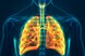 समझिए अपने फेफड़े के बारे में, क्यों है ये शरीर का सबसे जरूरी अंग