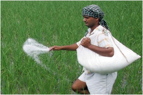 The central government will raise funds by selling its stake in two fertilizer companies.