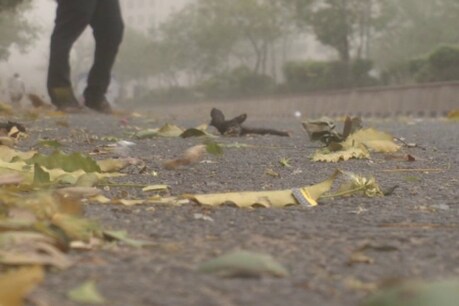 (प्रतीकात्मक तस्वीर)