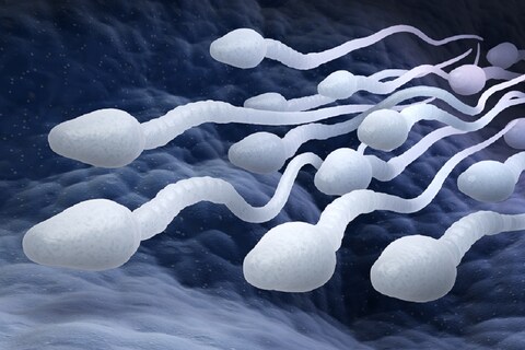 कई शोधों में जिसतरह से शुक्राणु संख्या (Sperm count) में कमी होने का पैटर्न चिंता की बात है.  (प्रतीकात्मक तस्वीर: shutterstock)