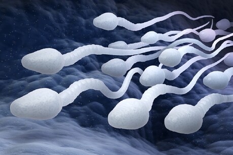 कई शोधों में जिसतरह से शुक्राणु संख्या (Sperm count) में कमी होने का पैटर्न चिंता की बात है. (प्रतीकात्मक तस्वीर: shutterstock)