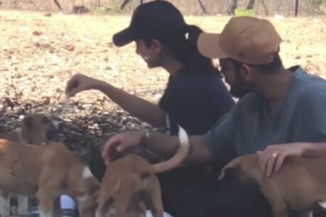 Virat-Anushka is an animal lover. Photo courtesy- Video Grab