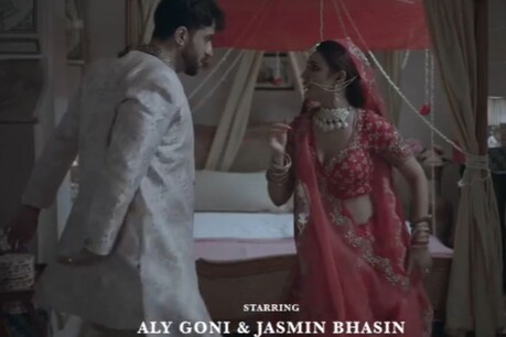 (photo credit: instagram/@jasminbhasin2806)