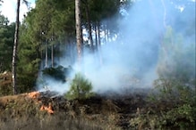 उत्तराखंड: जंगल में लगी है आग, वन विभाग के पास आग बुझाने वाले कर्मियों का टोटा