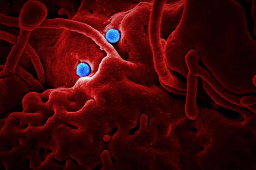 oximeter coronavirus patient