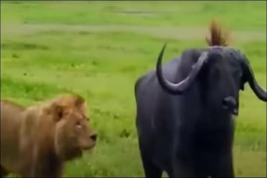 फाइल फोटो.