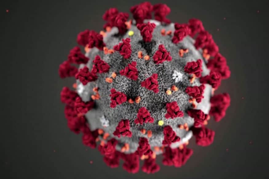 triple mutant variant coronavirus