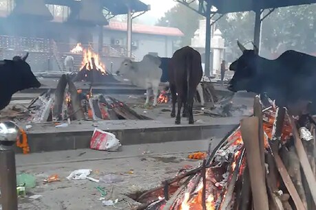 दिल्ली नगर निगम (Municipal Corporation of Delhi) भी अपने श्मशान घाट पर व्यवस्थाओं को बढ़ाने में जुटी हुई है. (File Photo)