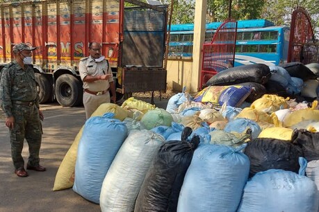 रांची में 50 लाख की नशे की बड़ी खेप जब्त की गई.