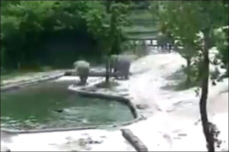 फाइल फोटो.