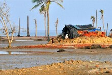 Explained: क्यों समुद्र में डूब रहा है West Bengal में सदाबहार वन वाला द्वीप