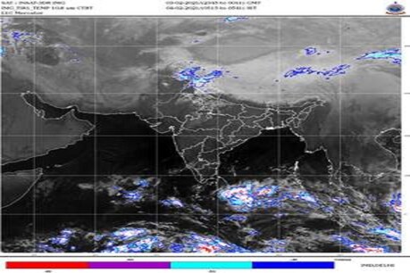 एनसीडीईएक्स पर साेयाबीन ने 1 साल में इसने 120.10 फीसदी का रिटर्न दिया है.