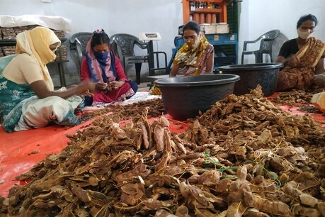 इमली केक तैयार करतीं खूंटी की महिलाएं
