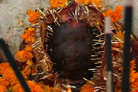शीतला सप्तमी व्रत मां शीतला देवी को समर्पित है (credit: shutterstock)
