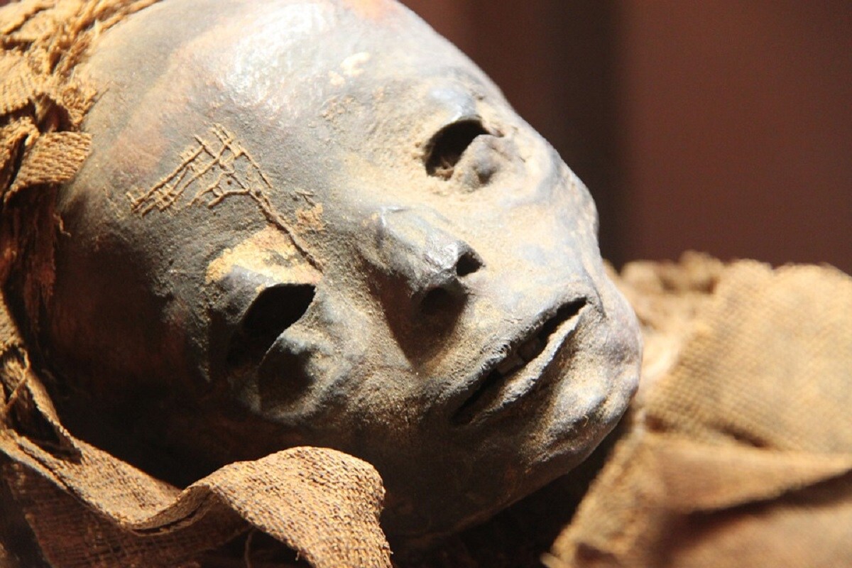 ancient egypt mummy curse