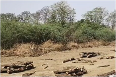शहर के अश्विनीकुमार शमशान गृह में पैसे लेकर जल्दी अंतिम संस्कार करवाने का मामला सामने आया है.