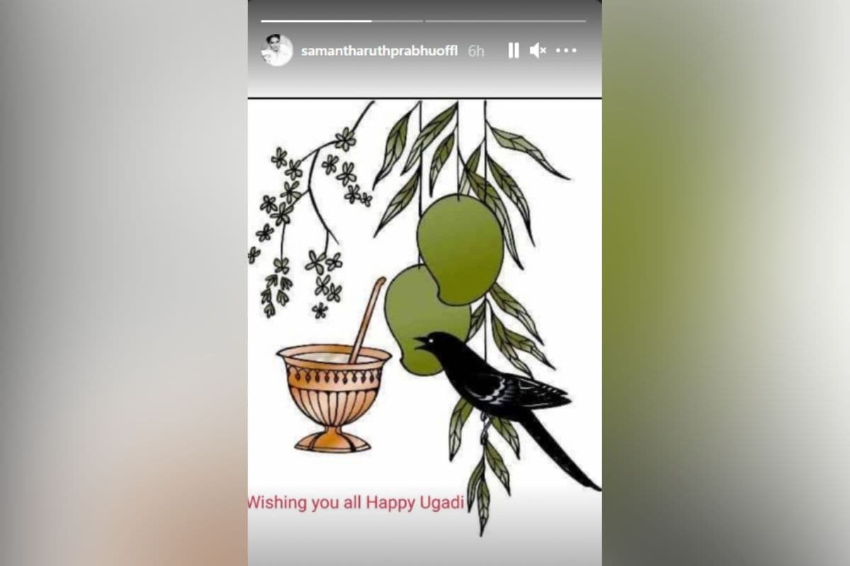 सामंथा अक्किनेनी
