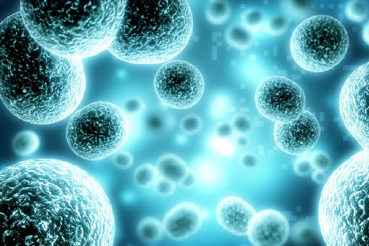 Health, Covid-19, Coronavirus, Bacteria, Antibiotic, Antibiotics, Higher Antibiotic dose, Overall Health, Drug Resistance, drugs, Superbugs,