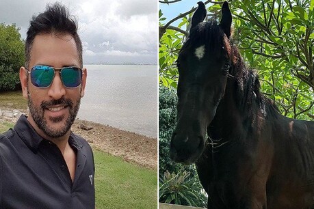 धोनी अपने घोड़े के चेतक के साथ